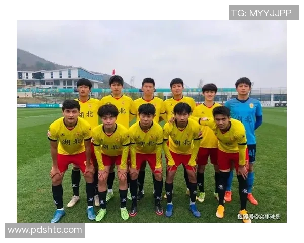 武汉足球队防反战术革新探讨与未来发展展望