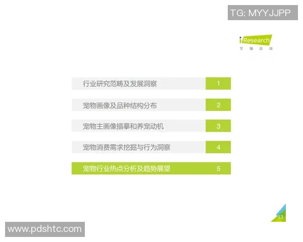 深入探讨北京乒乓球队比赛经验与表现的统计分析与趋势研究