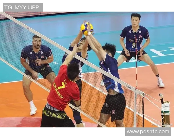 聚焦排球：上海排球队的团队协作话题